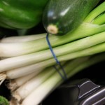 m_IMG_0033